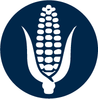 icone cultura milho